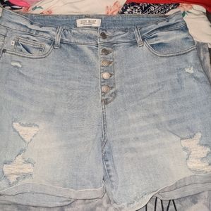Judy Blue shorts